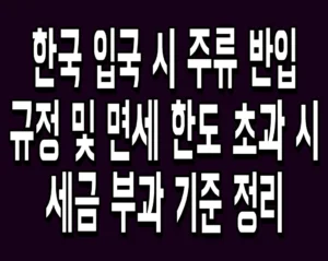 한국 입국 시 주류 반입 규정 및 면세 한도 초과 시 세금 부과 기준 정리