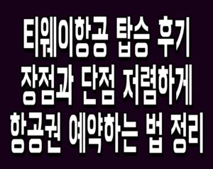 티웨이항공 탑승 후기 및 장점과 단점 저렴하게 항공권 예약하는 법 정리