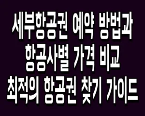 세부항공권 예약 방법과 항공사별 가격 비교 최적의 항공권 찾기 가이드