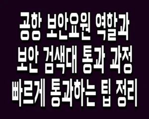 공항 보안요원 역할과 보안 검색대 통과 과정 빠르게 통과하는 팁 정리