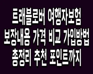 트래블로버 여행자보험 보장내용 가격 비교 가입방법 총정리 추천 포인트까지