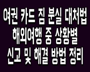 여권 카드 짐 분실 대처법 해외여행 중 상황별 신고 및 해결 방법 정리