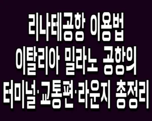 리나테공항 이용법 이탈리아 밀라노 공항의 터미널·교통편·라운지 총정리