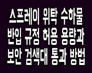스프레이 위탁 수하물 반입 규정 허용 용량과 보안 검색대 통과 방법