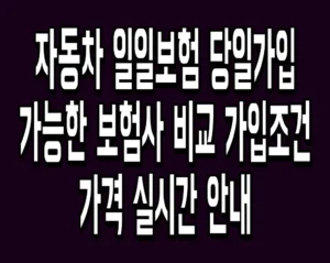 자동차 일일보험 당일가입 가능한 보험사 비교 가입조건 가격 실시간 안내