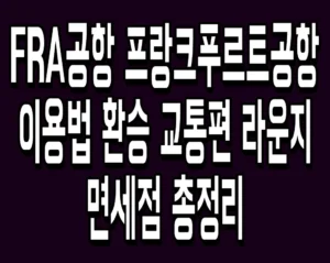 FRA공항 프랑크푸르트공항 이용법 환승 교통편 라운지 면세점 총정리