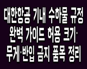 대한항공 기내 수하물 규정 완벽 가이드 허용 크기·무게·반입 금지 품목 정리