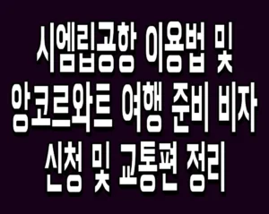 시엠립공항 이용법 및 앙코르와트 여행 준비 비자 신청 및 교통편 정리