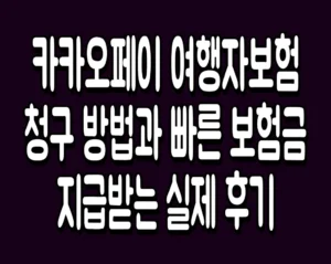 카카오페이 여행자보험 청구 방법과 빠른 보험금 지급받는 실제 후기