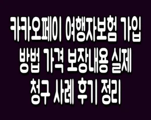 카카오페이 여행자보험 가입방법 가격 보장내용 실제 청구 사례 후기 정리