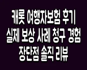 캐롯 여행자보험 후기 실제 보상 사례 청구 경험 장단점 솔직 리뷰