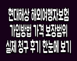 현대해상 해외여행자보험 가입방법 가격 보장범위 실제 청구 후기 한눈에 보기