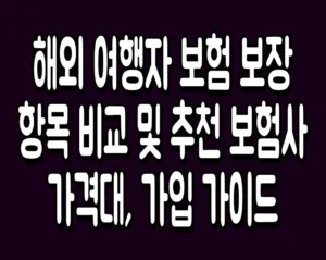 해외 여행자 보험 보장 항목 비교 및 추천 보험사 가격대, 가입 가이드