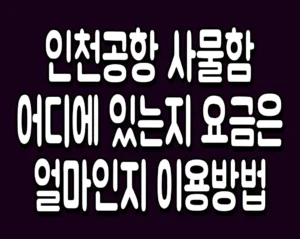 인천공항 사물함 어디에 있는지 요금은 얼마인지 이용방법
