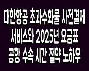 대한항공 초과수화물 사전결제 서비스와 2025년 요금표 공항 수속 시간 절약 노하우