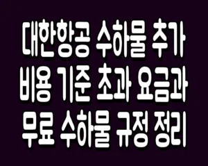 대한항공 수하물 추가 비용 기준 초과 요금과 무료 수하물 규정 정리