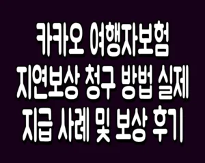 카카오 여행자보험 지연보상 청구 방법 실제 지급 사례 및 보상 후기