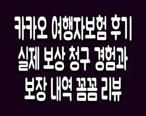 카카오 여행자보험 후기 실제 보상 청구 경험과 보장 내역 꼼꼼 리뷰