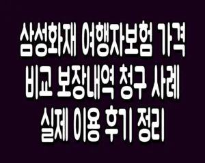삼성화재 여행자보험 가격 비교 보장내역 청구 사례 실제 이용 후기 정리