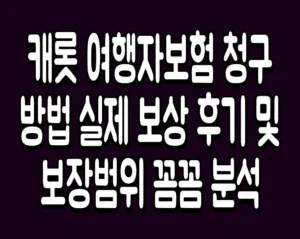 캐롯 여행자보험 청구 방법 실제 보상 후기 및 보장범위 꼼꼼 분석