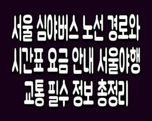 서울 심야버스 노선 경로와 시간표 요금 안내 서울야행 교통 필수 정보 총정리