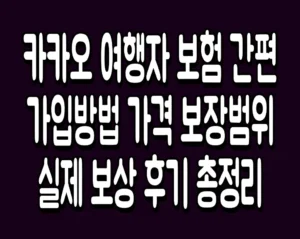 카카오 여행자 보험 간편 가입방법 가격 보장범위 실제 보상 후기 총정리