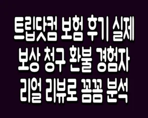 트립닷컴 보험 후기 실제 보상 청구 환불 경험자 리얼 리뷰로 꼼꼼 분석
