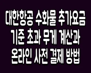 대한항공 수화물 추가요금 기준 초과 무게 계산과 온라인 사전 결제 방법