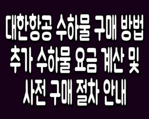 대한항공 수하물 구매 방법 추가 수하물 요금 계산 및 사전 구매 절차 안내