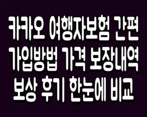 카카오 여행자보험 간편 가입방법 가격 보장내역 보상 후기 한눈에 비교