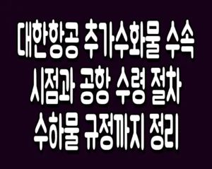 대한항공 추가수화물 수속 시점과 공항 수령 절차 수하물 규정까지 정리