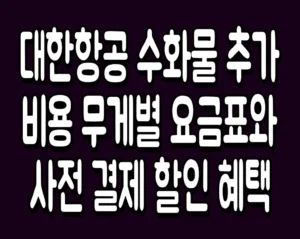 대한항공 수화물 추가 비용 무게별 요금표와 사전 결제 할인 혜택