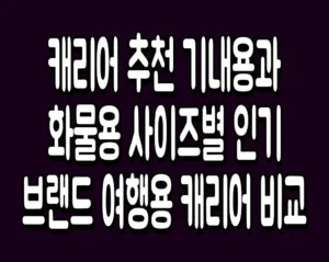 캐리어 추천 기내용과 화물용 사이즈별 인기 브랜드 여행용 캐리어 비교