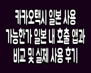 카카오택시 일본 사용 가능한가 일본 내 호출 앱과 비교 및 실제 사용 후기