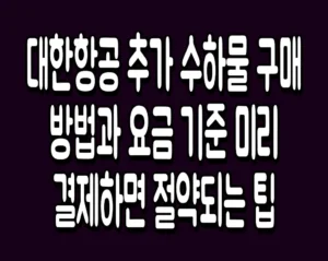 대한항공 추가 수하물 구매 방법과 요금 기준 미리 결제하면 절약되는 팁