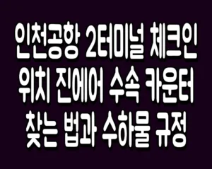 인천공항 2터미널 체크인 위치 진에어 수속 카운터 찾는 법과 수하물 규정