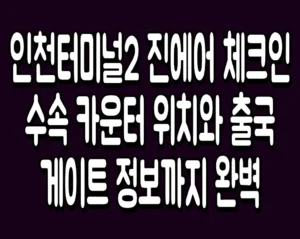 인천터미널2 진에어 체크인 수속 카운터 위치와 출국 게이트 정보까지 완벽