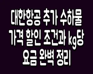 대한항공 추가 수하물 가격 할인 조건과 kg당 요금 완벽 정리
