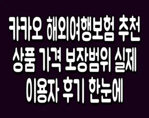 카카오 해외여행보험 추천 상품 가격 보장범위 실제 이용자 후기 한눈에