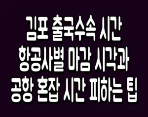 김포 출국수속 시간 항공사별 마감 시각과 공항 혼잡 시간 피하는 팁