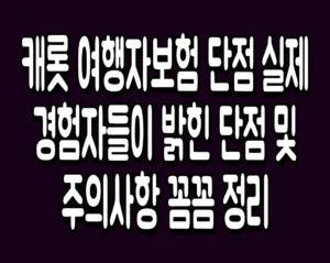 캐롯 여행자보험 단점 실제 경험자들이 밝힌 단점 및 주의사항 꼼꼼 정리