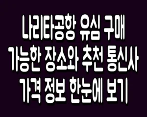 나리타공항 유심 구매 가능한 장소와 추천 통신사 가격 정보 한눈에 보기
