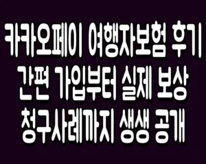 카카오페이 여행자보험 후기 간편 가입부터 실제 보상 청구사례까지 생생 공개