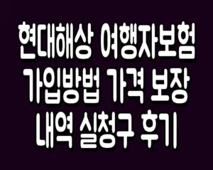 현대해상 여행자보험 가입방법 가격 보장내역 실청구 후기