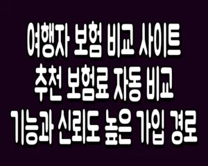 여행자 보험 비교 사이트 추천 보험료 자동 비교 기능과 신뢰도 높은 가입 경로