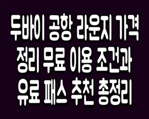 두바이 공항 라운지 가격 정리 무료 이용 조건과 유료 패스 추천 총정리