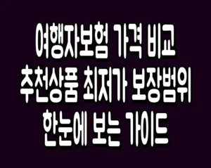 여행자보험 가격 비교 추천상품 최저가 보장범위 한눈에 보는 가이드