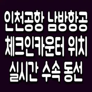 인천공항 남방항공 체크인카운터 위치 실시간 수속 동선