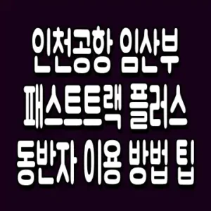 인천공항 임산부 패스트트랙 플러스 동반자 이용 방법 팁
