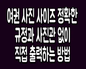 여권 사진 사이즈 정확한 규정과 사진관 없이 직접 출력하는 방법